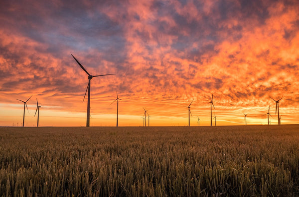 Hoe MKB-bedrijven in 2025 flink kunnen besparen op hun zakelijke energie